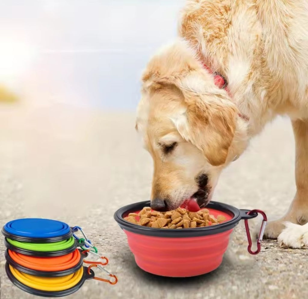 Portable Foldable Silicone Pet Bowl – Travel & Outdoor Water/Food Bowl for Dogs & Cats